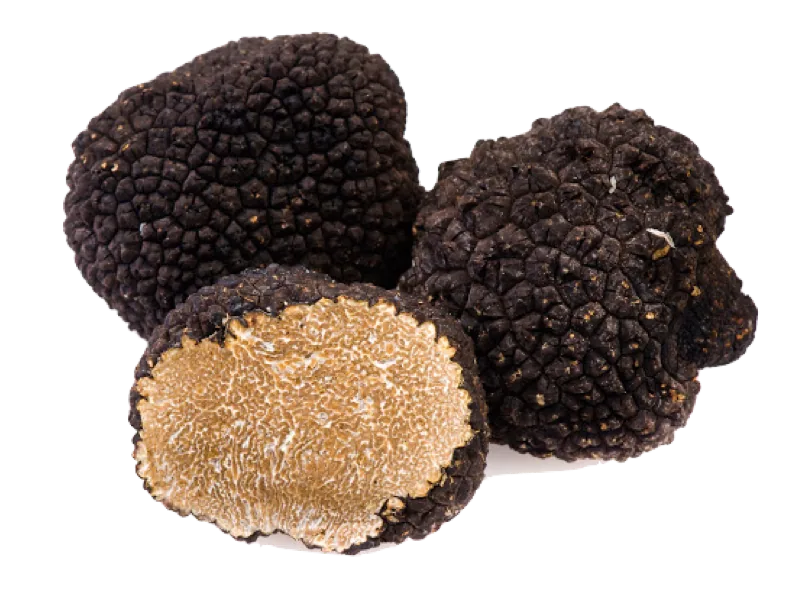 Tartufo